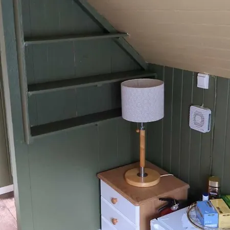 Cozy Bedroom & Basement With Amenities Gasthuis